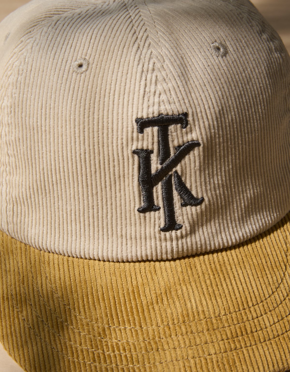 AE x Tru Kolors Corduroy Baseball Hat - image 5