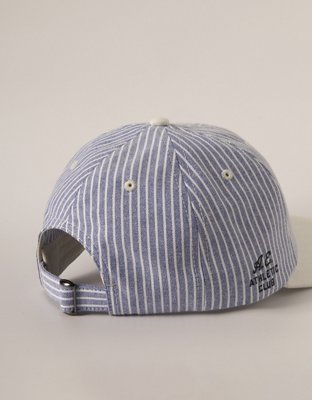 AE Striped Dad Hat