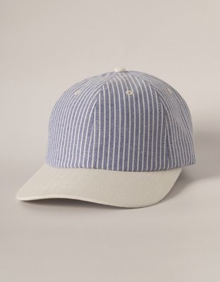 AE Striped Dad Hat