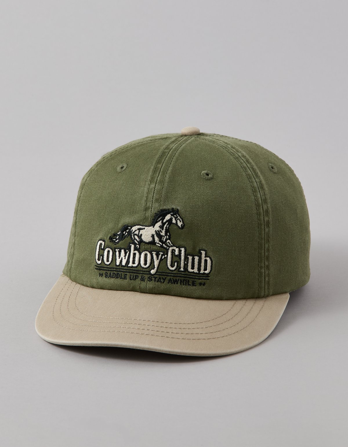 AE Country Club Dad Hat - image 3