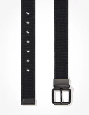 AEO Reversible Web Belt