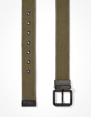 AE Reversible Web Belt