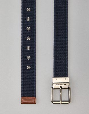 AE Reversible Web Belt