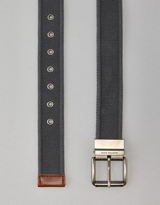 AE Reversible Web Belt