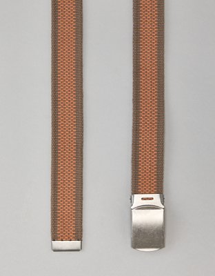 AE Stripe Web Belt