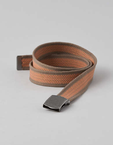 AE Stripe Web Belt