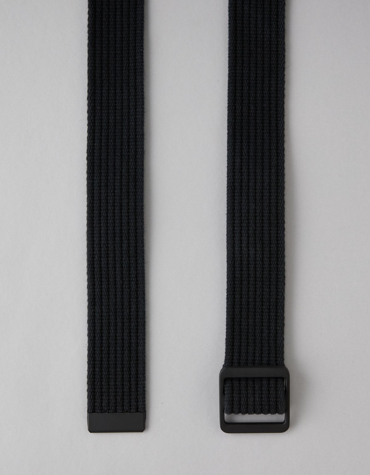 AE Web Belt - image 2