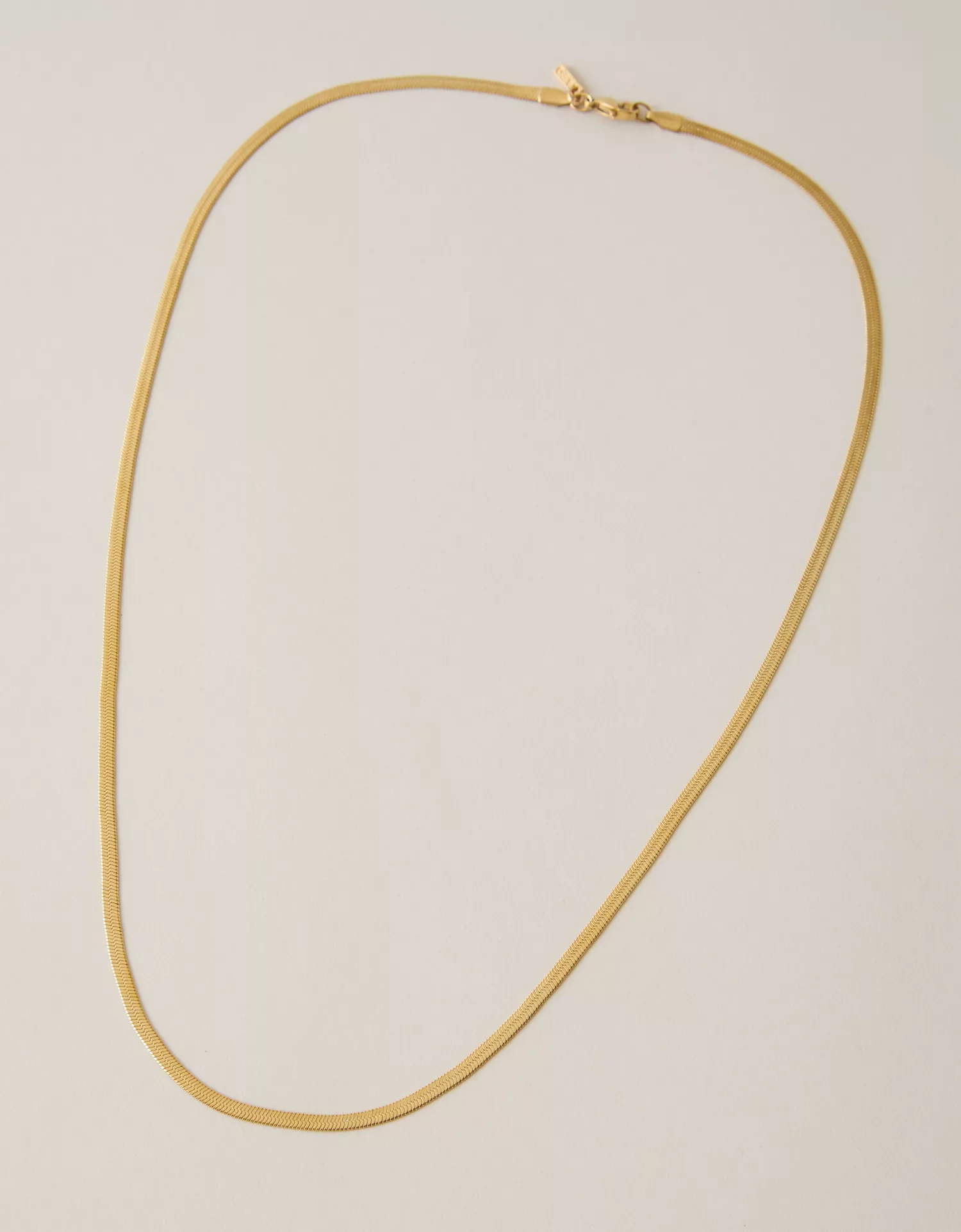 AEO Snake Chain Necklace