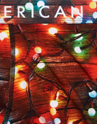 Трусы-боксеры AEO Xmas Classic для мужчин — American Eagle — фото 5