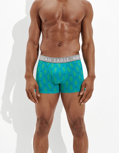 Трусы AEO Cacti Classic для мужчин — American Eagle