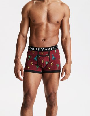 AEO Desert 3" Horizontal Fly Trunk Underwear