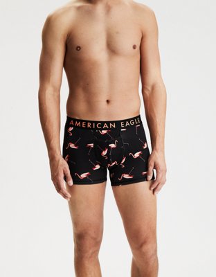 AEO Flamingo 3" Horizontal Fly Trunk Underwear