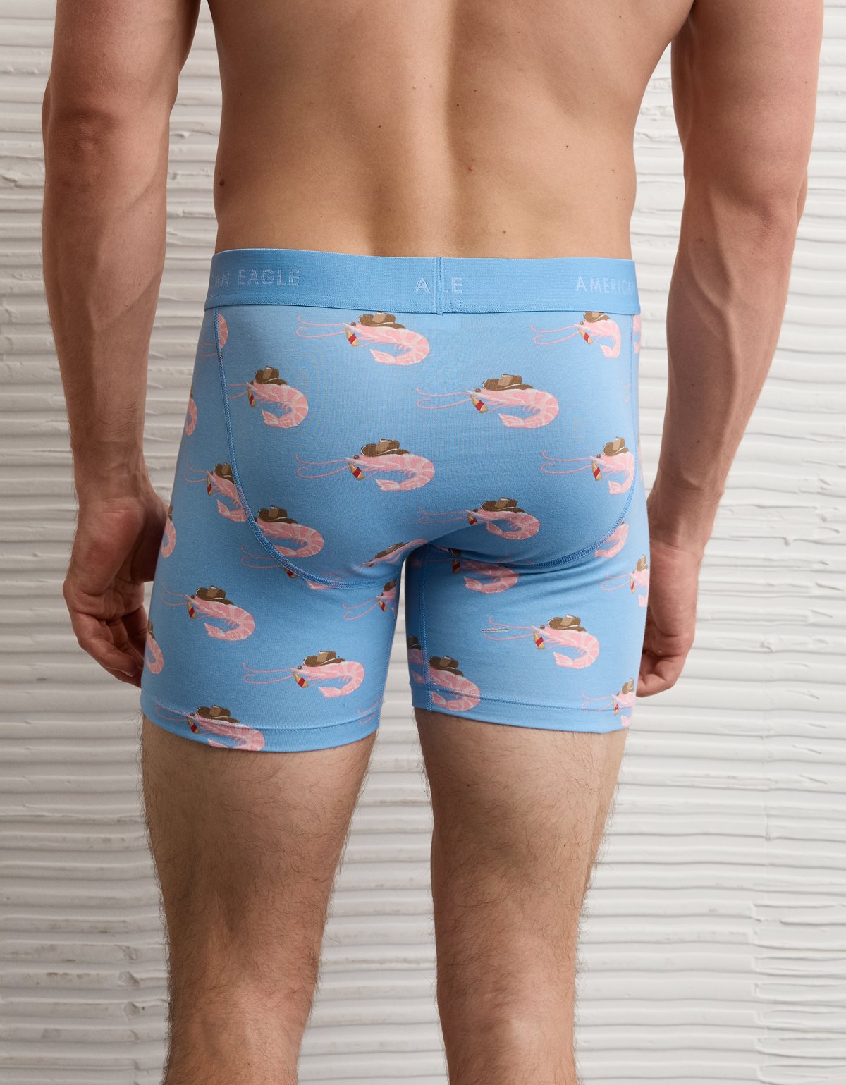 AEO Men's 6" Classic Boxer Brief - image 2