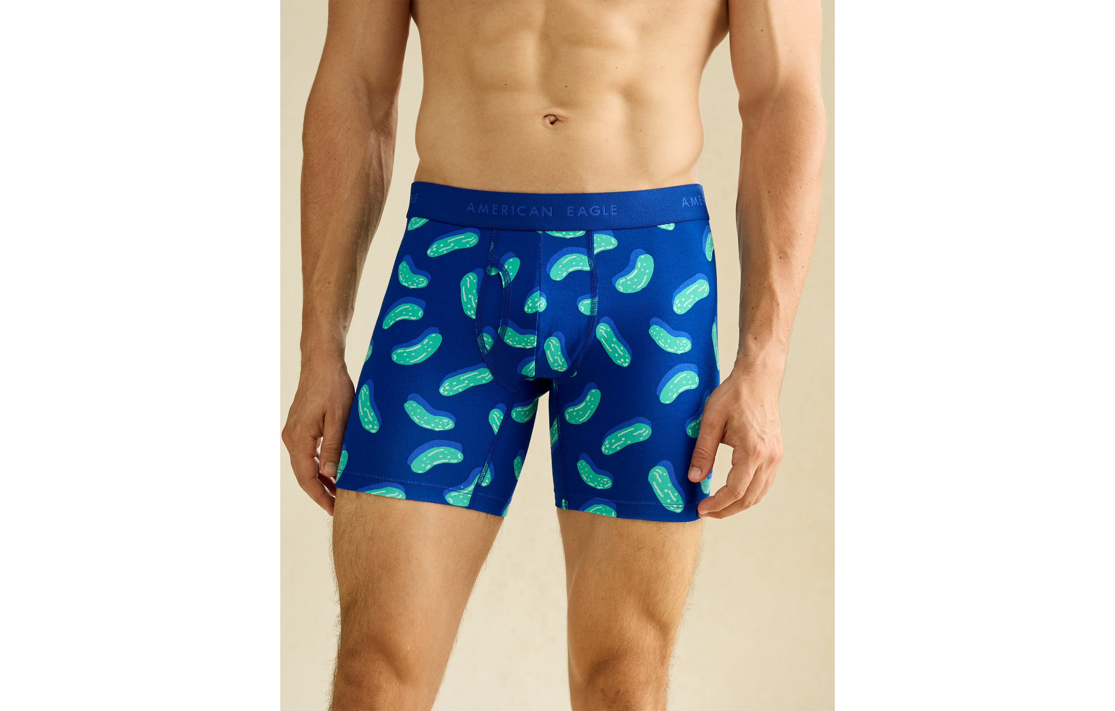 AEO Men's Food 6" Classic Boxer Brief