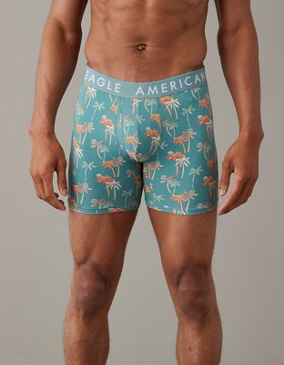 AEO Palms 6" Classic Boxer Brief