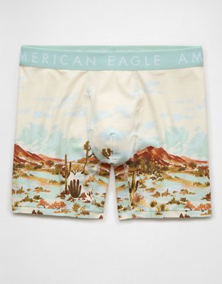 AEO Mens Desert 6 Classic Boxer Brief