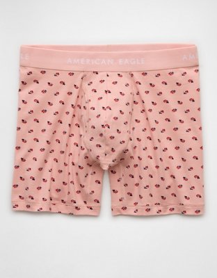 AEO Mens Ladybugs 6 Classic Boxer Brief
