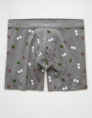 AEO Men's Striped 6" Classic Boxer Brief