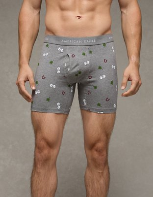 AEO Men's Striped 6" Classic Boxer Brief