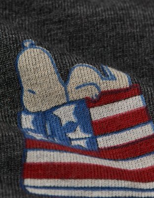 AEO Men's Snoopy USA 6" Classic Boxer Brief