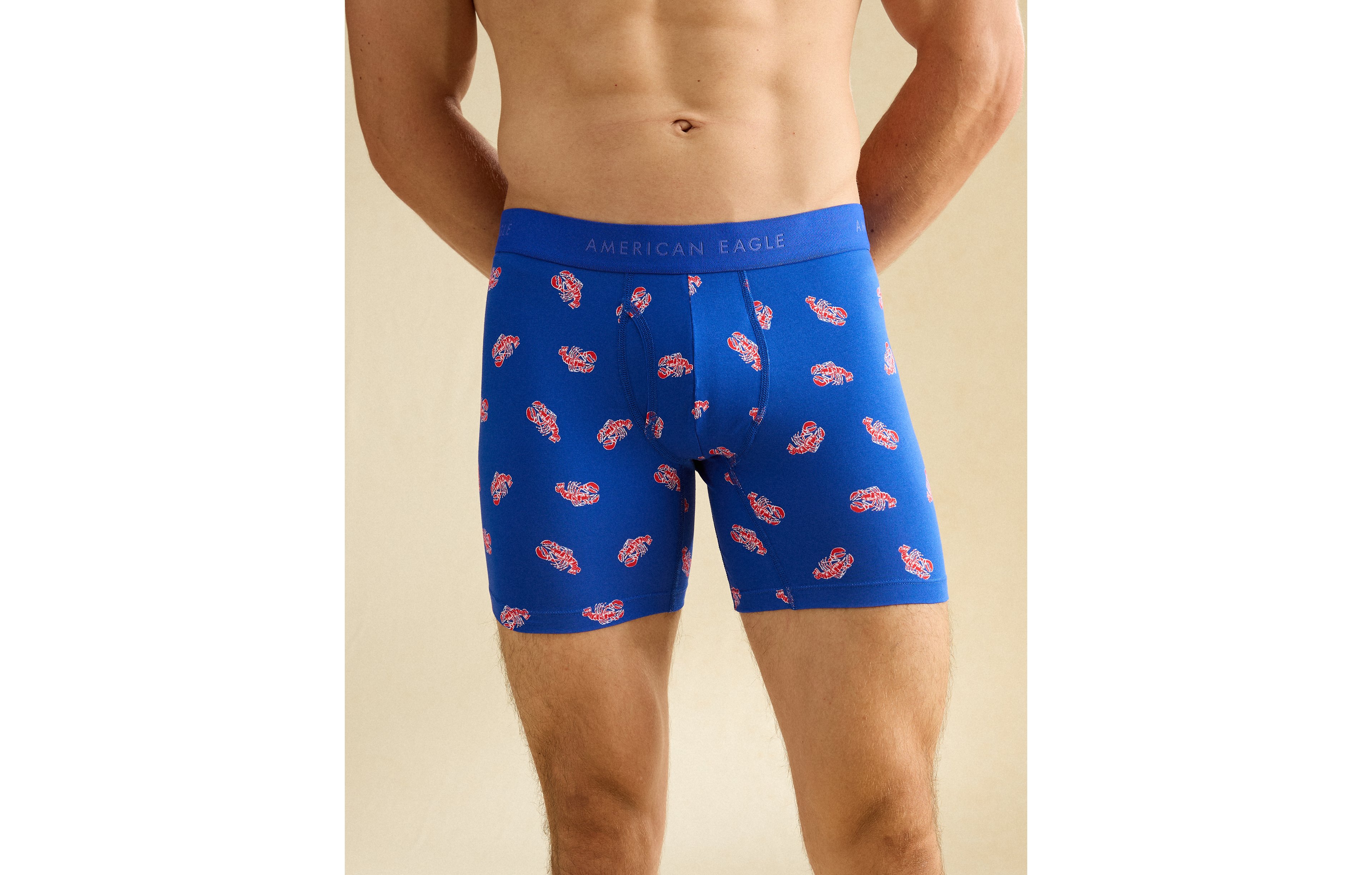 AEO Men's 6" Classic Boxer Brief