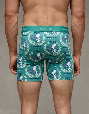 AEO Men's Striped 6" Classic Boxer Brief