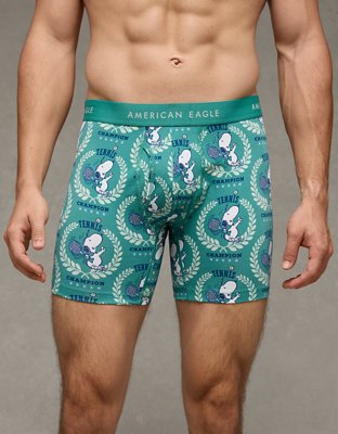 AEO Men's Striped 6" Classic Boxer Brief