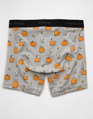 AEO Men's 6" Classic Boxer Brief