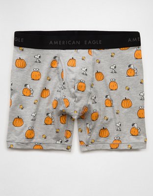 AEO Men's 6" Classic Boxer Brief