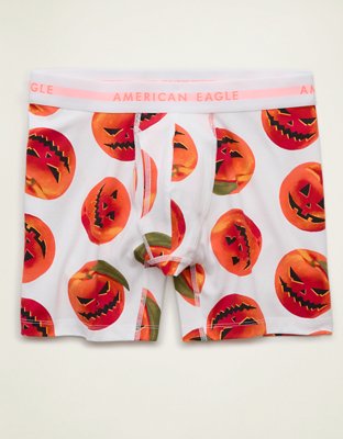 AEO Men's 6" Classic Boxer Brief