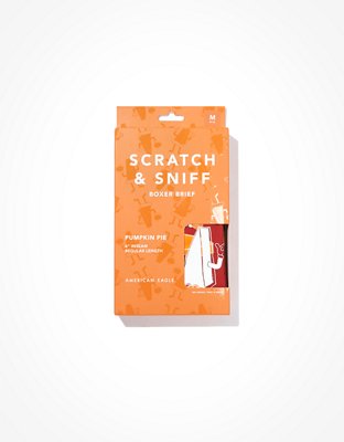 AEO Scented Pumpkin Pie 6" Classic Boxer Brief