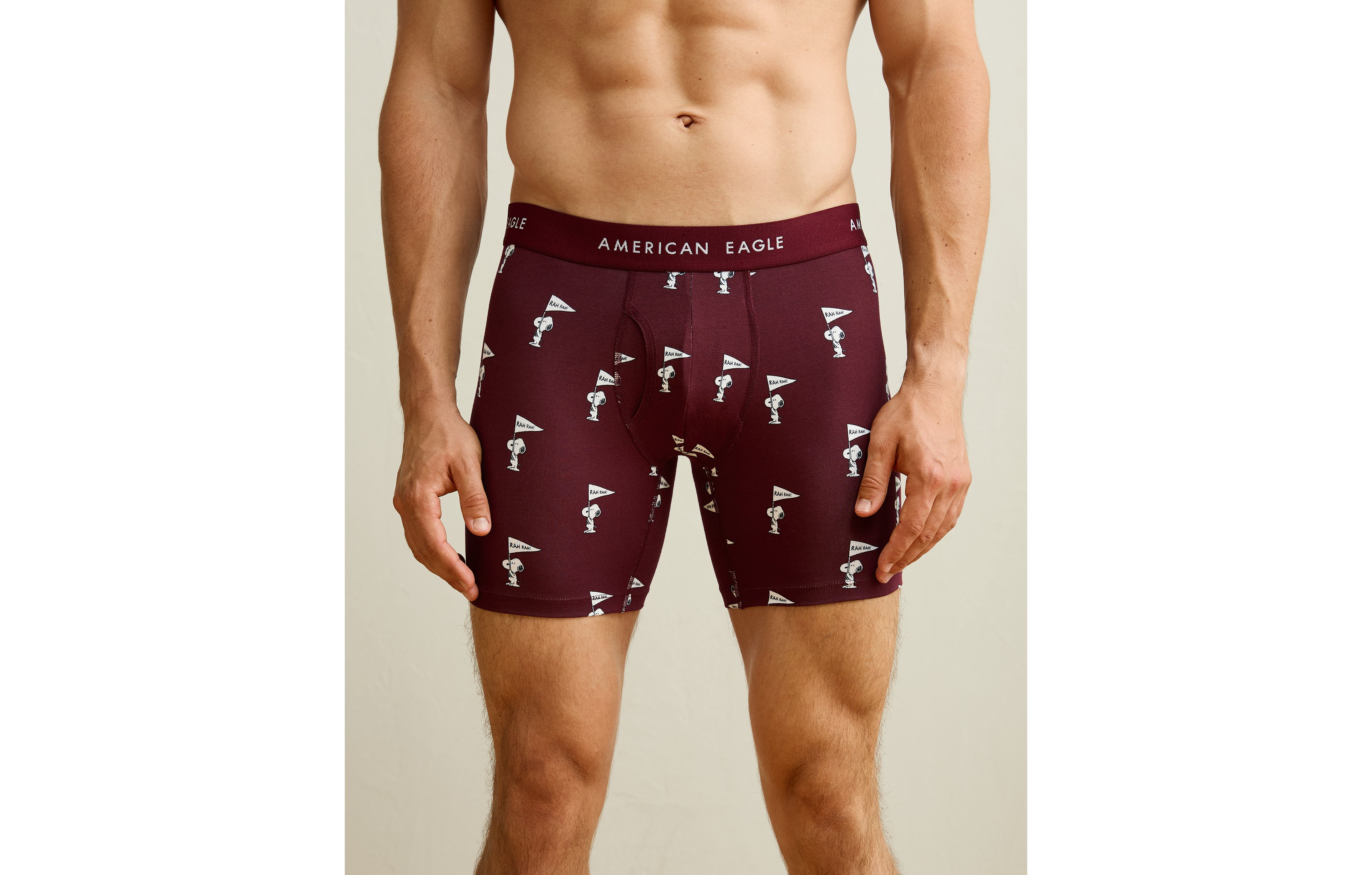 AEO Men's 6" Classic Cotton Boxer Brief