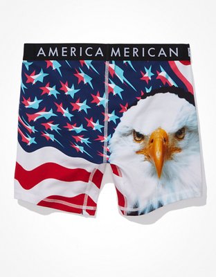 Трусы-боксеры AEO Bald Classic для мужчин — American Eagle — фото 4