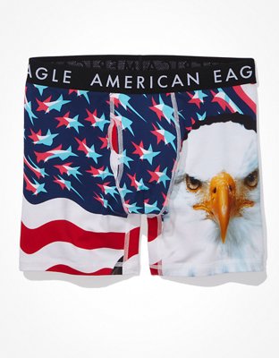 Трусы-боксеры AEO Bald Classic для мужчин — American Eagle — фото 3
