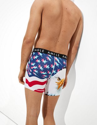 Трусы-боксеры AEO Bald Classic для мужчин — American Eagle — фото 2