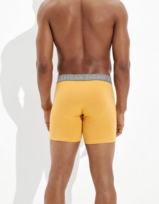 AEO 6" Classic Boxer Brief