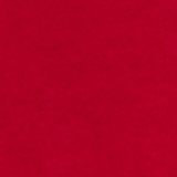 Holiday Red