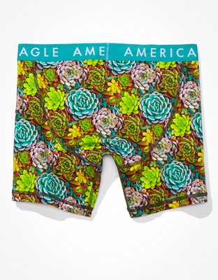 AEO Succulents 6" Classic Boxer Brief