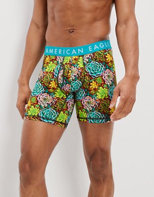 AEO Succulents 6" Classic Boxer Brief