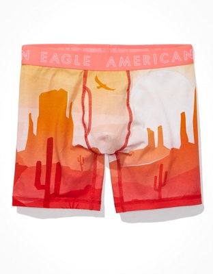 Трусы-боксеры AEO Valley Classic для мужчин — American Eagle — фото 3