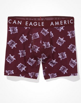 AEO Glass Turtles 6" Classic Boxer Brief