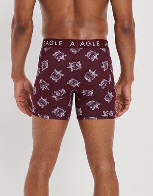 AEO Glass Turtles 6" Classic Boxer Brief