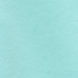 Seafoam