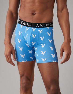 Rare NWT American Eagle classic briefs, ringer-style, light blue size M