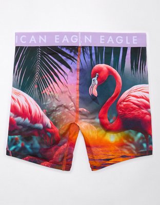 AEO Flamingo 6" Classic Boxer Brief