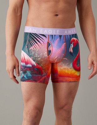 Buy American Eagle Men Blue Flamingos 6 Inches Flex Boxer Brief online