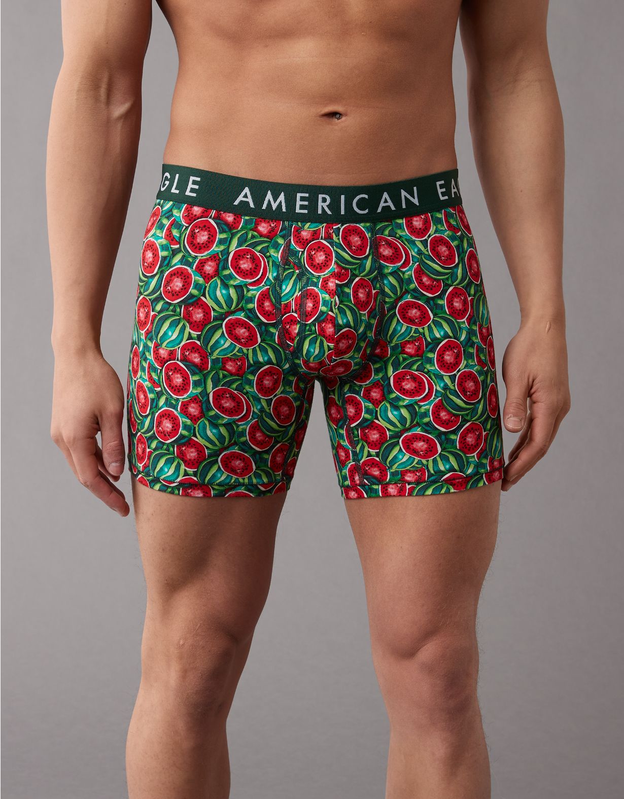 AEO Watermelons 6" Classic Boxer Brief