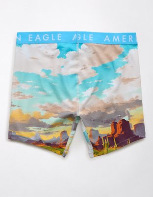 AEO Valley 6" Classic Boxer Brief