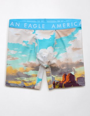 Трусы-боксеры AEO Valley Classic для мужчин — American Eagle — фото 4