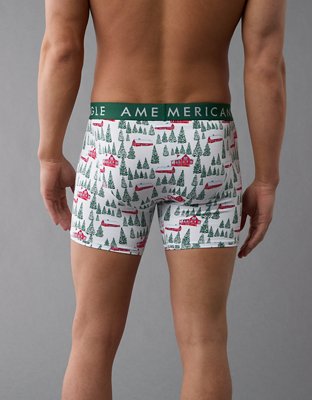 AEO Winter Farm 6" Classic Boxer Brief